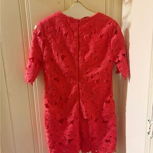 Miami Vibrant Corol Lace Dress